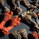 Dried monitor lizard penises. Photo: Neil D’Cruze/World Animal Protection